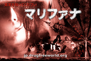 真実を知ってください:マリファナ 真実を知ってください:マリファナ