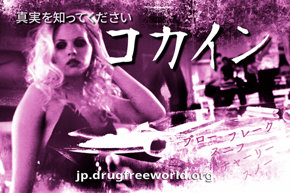 真実を知ってください：コカイン