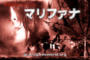 真実を知ってください：マリファナ